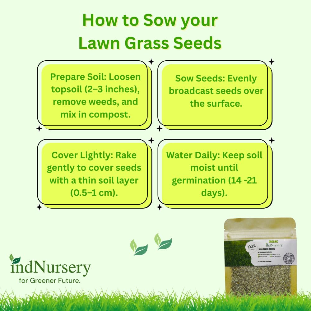 IndNursery Lawn Grass Seeds (Green, Pack of 10 gms) (2 Packet Combo)